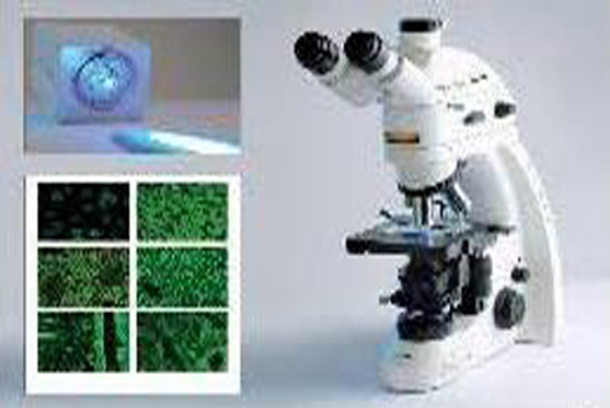 Eurostar III plus immunofluroscence microscope